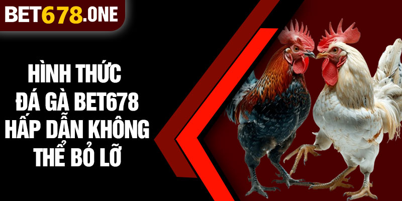 Hình Thức Đá Gà BET678 Hấp Dẫn Không Thể Bỏ Lỡ